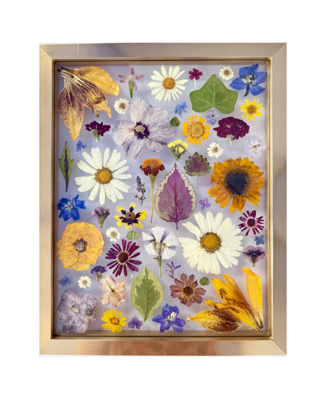 12x15 Abstract Design