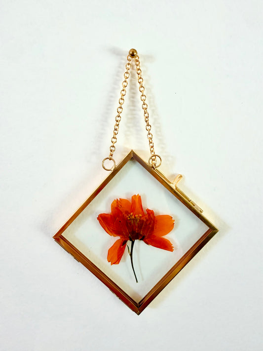 3x3 Gold Mini Frame